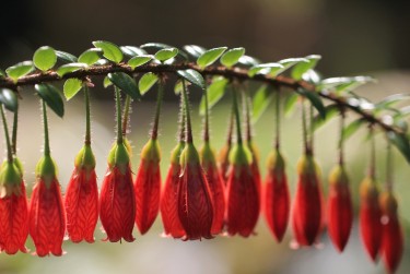广州海珠区3私人快速借钱网，轻松解决资金难题