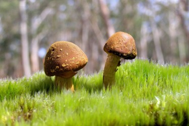 广州海珠区3私人老板放款：轻松融资的秘密通道